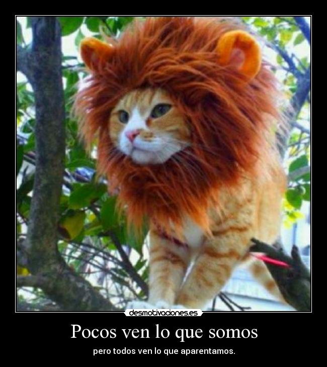 Pocos ven lo que somos - pero todos ven lo que aparentamos.