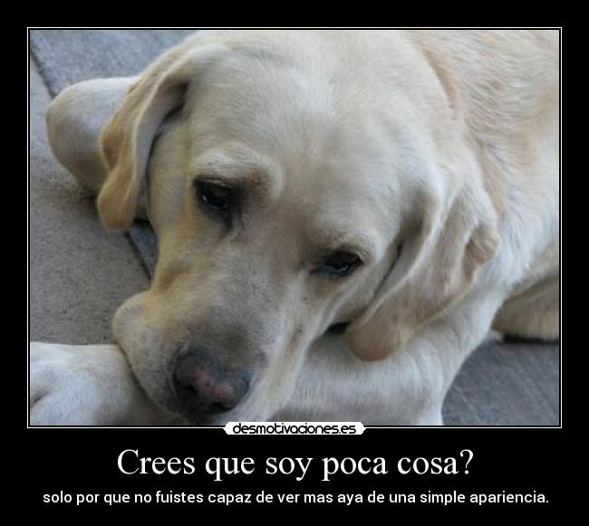 carteles 98hfn desmotivaciones