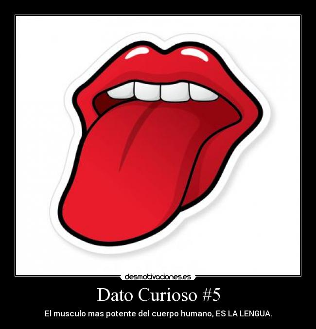 Dato Curioso #5 - El musculo mas potente del cuerpo humano, ES LA LENGUA.