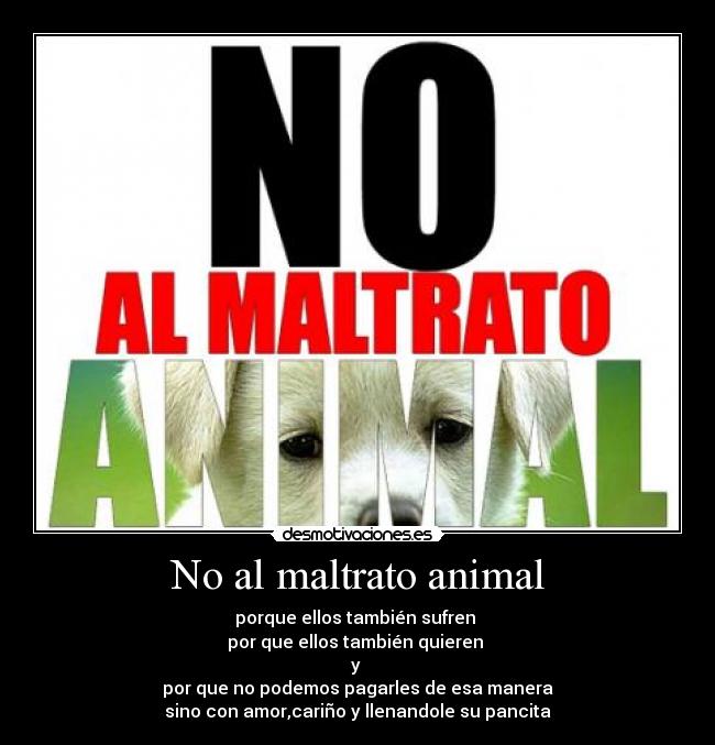 No al maltrato animal - 