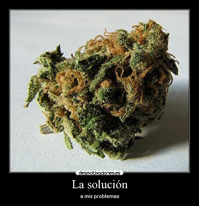 La solución -