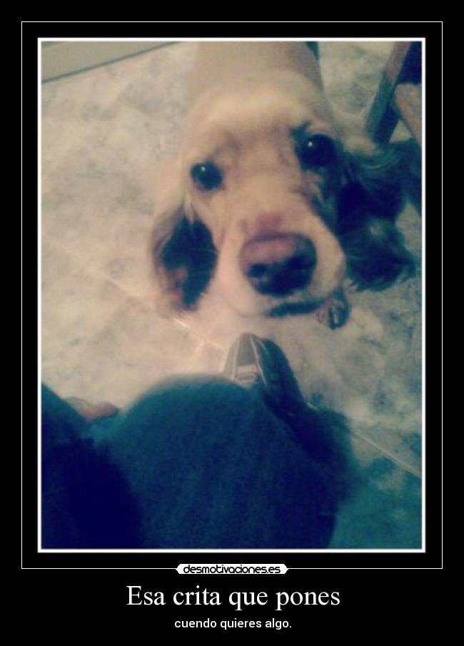 carteles camilitaa desmotivaciones