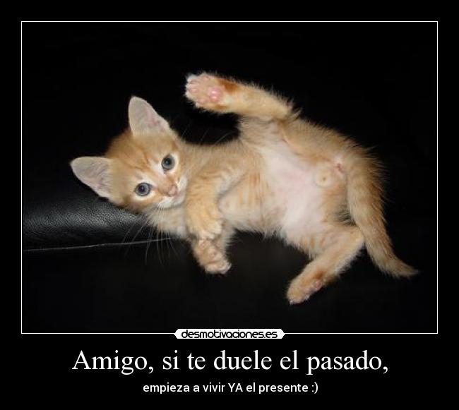 Amigo, si te duele el pasado, -