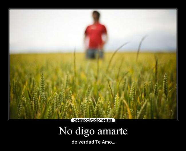No digo amarte - de verdad Te Amo...