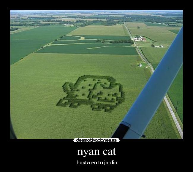 nyan cat - 