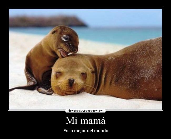 Mi mamá - 