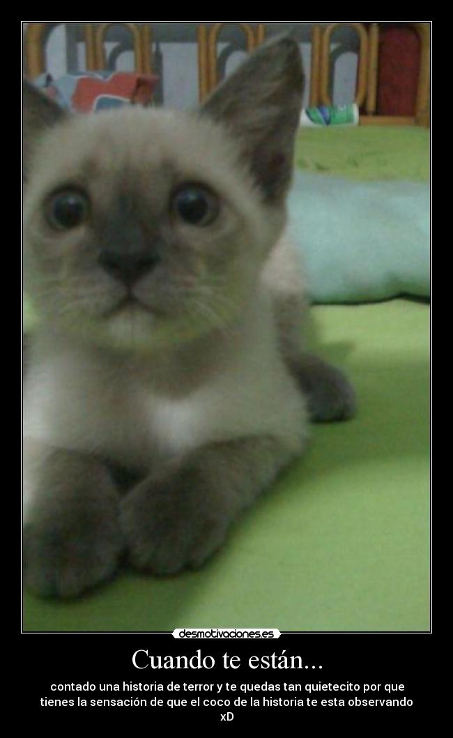Cuando te están... - contado una historia de terror y te quedas tan quietecito por que
tienes la sensación de que el coco de la historia te esta observando
xD