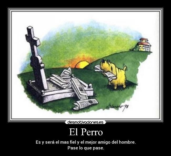 El Perro -