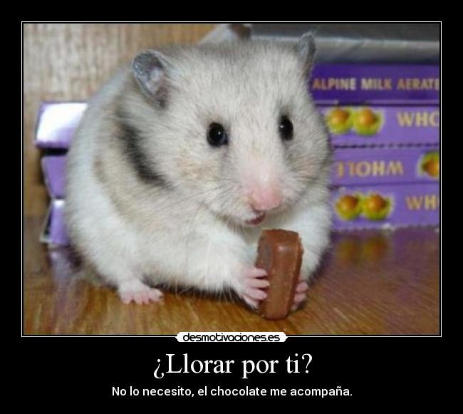 ¿Llorar por ti? - No lo necesito, el chocolate me acompaña.