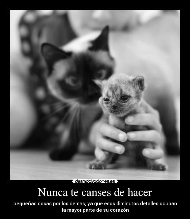 Nunca te canses de hacer - 
