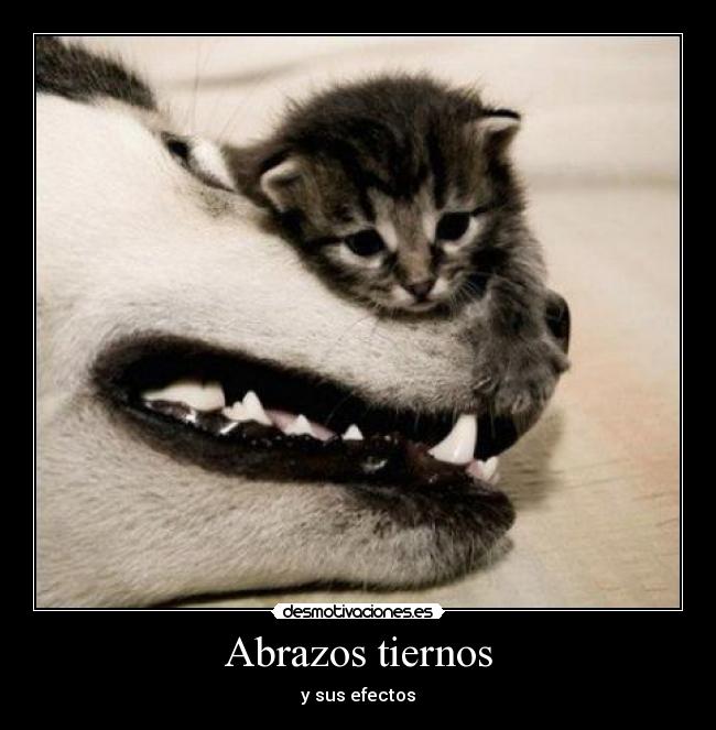 Abrazos tiernos - y sus efectos