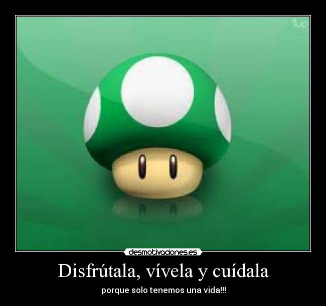 Disfrútala, vívela y cuídala - porque solo tenemos una vida!!!