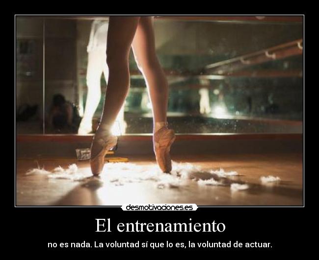 El entrenamiento -