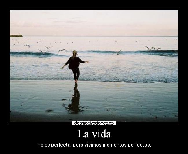 La vida - no es perfecta, pero vivimos momentos perfectos.