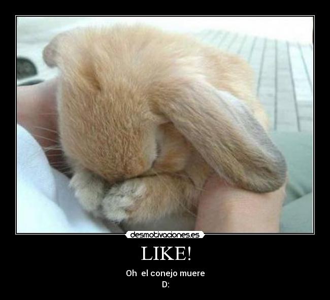 LIKE! -