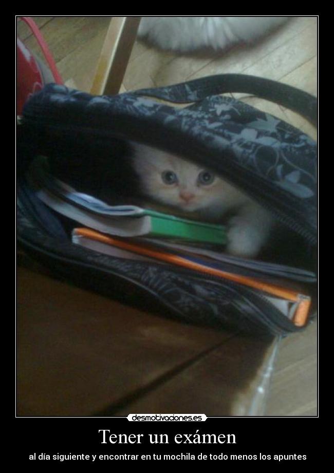 Tener un exámen - al día siguiente y encontrar en tu mochila de todo menos los apuntes