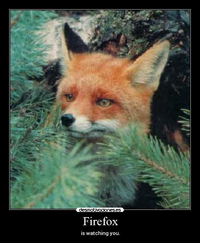 Firefox - is watching you.