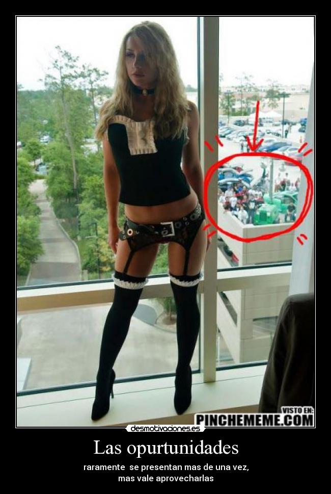 Las opurtunidades -