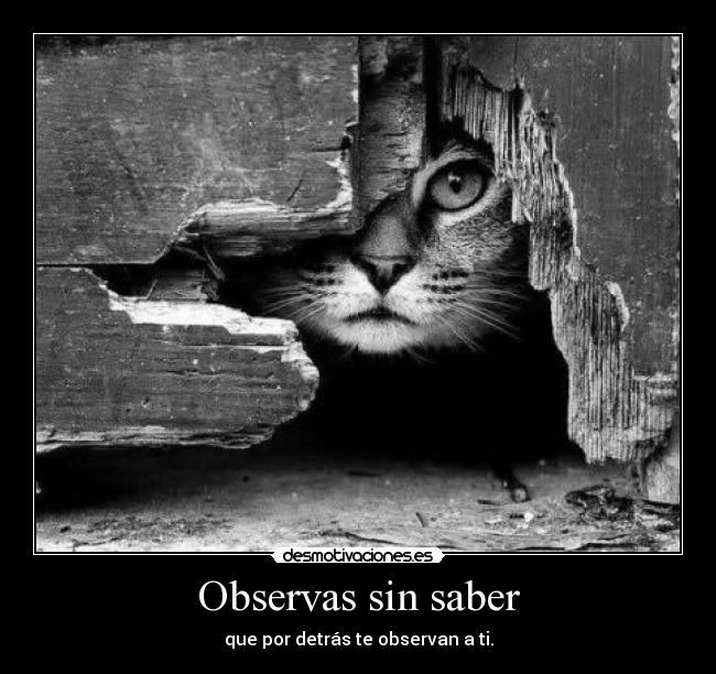 Observas sin saber - 