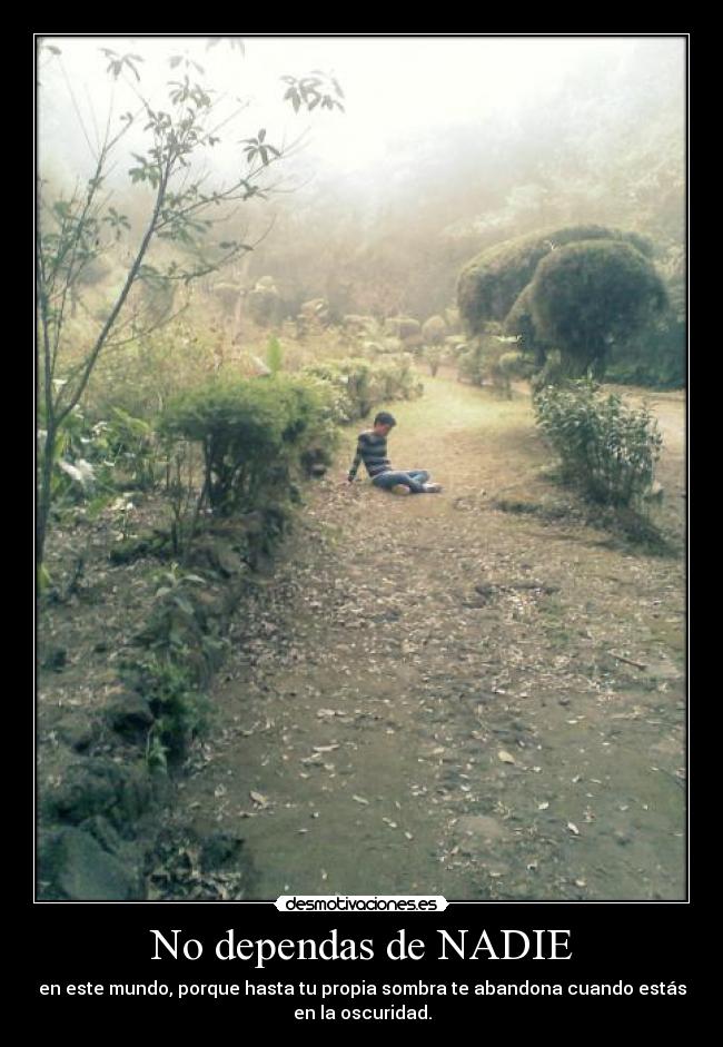 No dependas de NADIE - en este mundo, porque hasta tu propia sombra te abandona cuando estás
en la oscuridad.