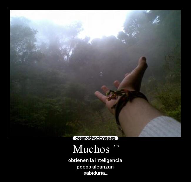 Muchos `` -