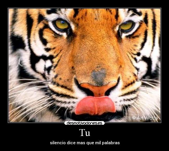 Tu - silencio dice mas que mil palabras