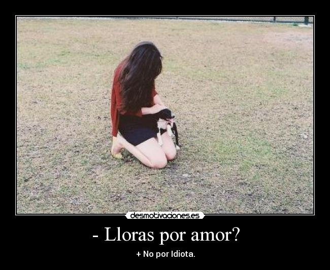 - Lloras por amor? - + No por Idiota.