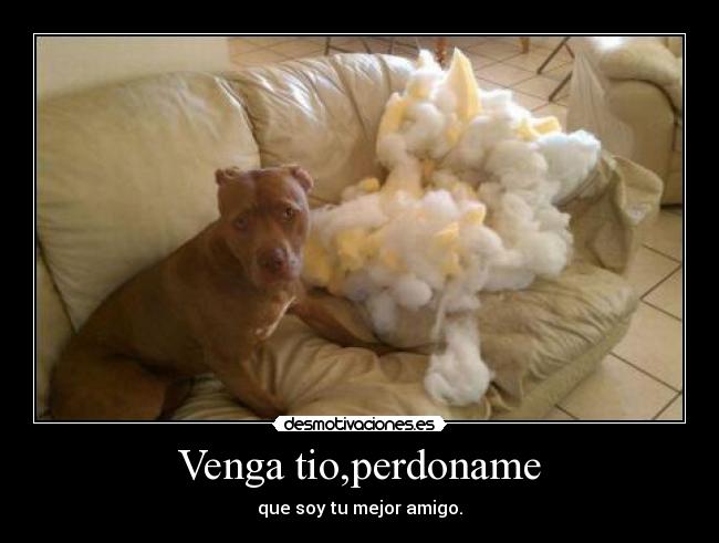 Venga tio,perdoname - 