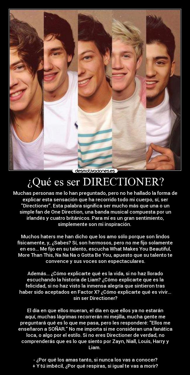 ¿Qué es ser DIRECTIONER? -