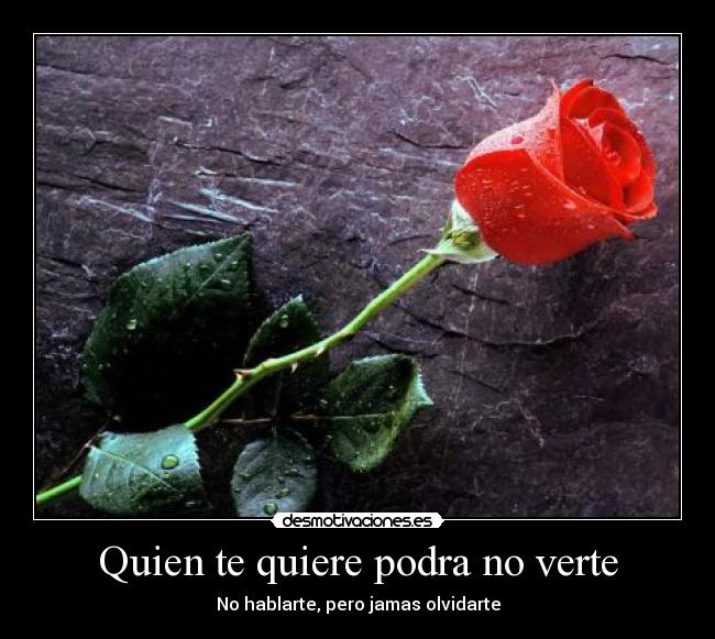 Quien te quiere podra no verte -