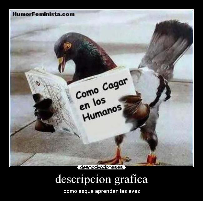 descripcion grafica - 