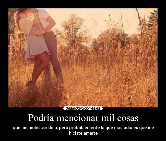 Podría mencionar mil cosas -