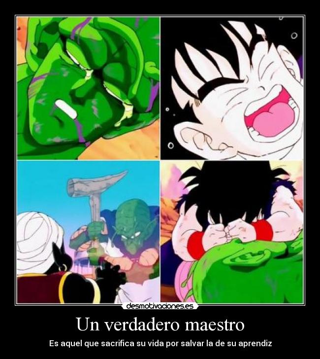 carteles dragon ball verdadero maestro desmotivaciones