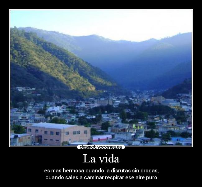 La vida -