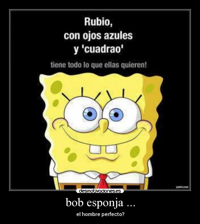 bob esponja ... - 