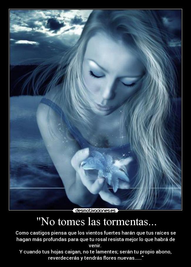 No tomes las tormentas... - Como castigos piensa que los vientos fuertes harán que tus raíces se
hagan más profundas para que tu rosal resista mejor lo que habrá de
venir. 
Y cuando tus hojas caigan, no te lamentes; serán tu propio abono,
reverdecerás y tendrás flores nuevas......