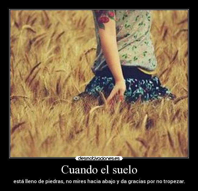 Cuando el suelo - está lleno de piedras, no mires hacia abajo y da gracias por no tropezar.