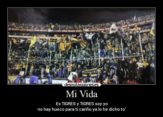 Mi Vida - Es TIGRES y TIGRES soy yo
no hay hueco para ti cariño ya lo he dicho to’