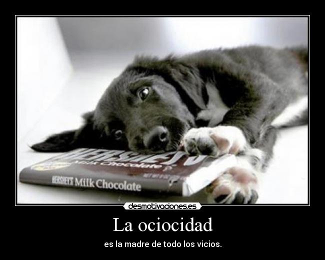 La ociocidad - es la madre de todo los vicios.