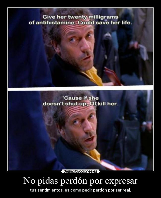 carteles laura rules peque anyi paula frank lampard trolls everywhere desmotivaciones