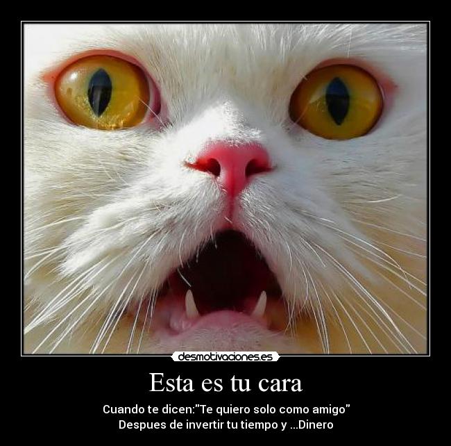 Esta es tu cara - Cuando te dicen:Te quiero solo como amigo
Despues de invertir tu tiempo y ...Dinero