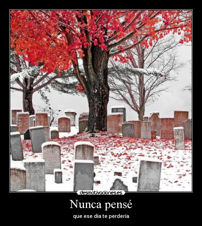 carteles nunca perder triste cementerio desmotivaciones