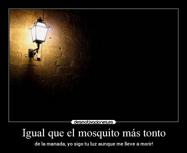 Igual que el mosquito más tonto -