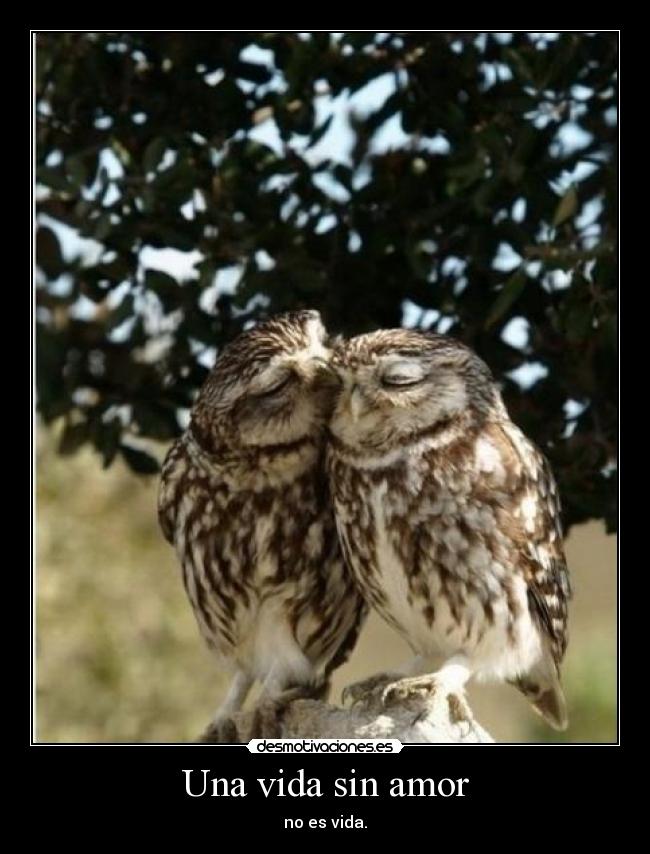 Una vida sin amor -