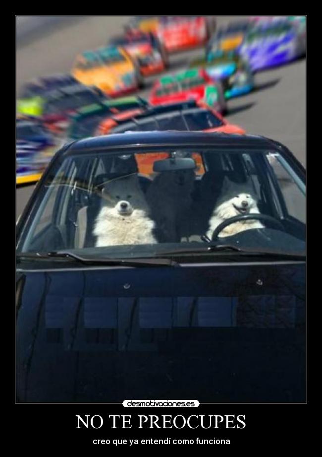 NO TE PREOCUPES - creo que ya entendí como funciona