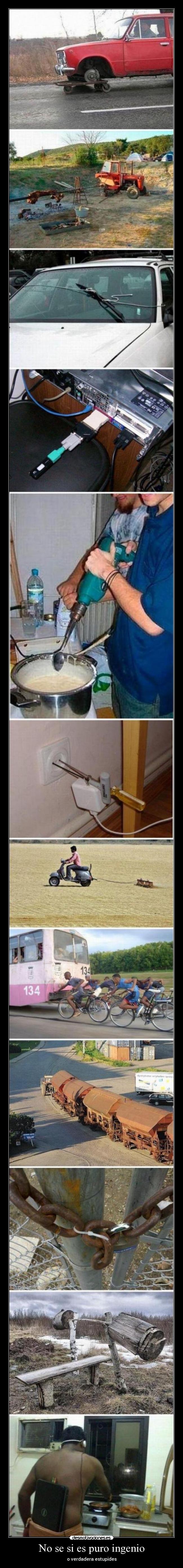 No se si es puro ingenio - o verdadera estupides