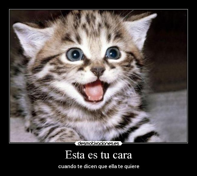 Esta es tu cara - cuando te dicen que ella te quiere