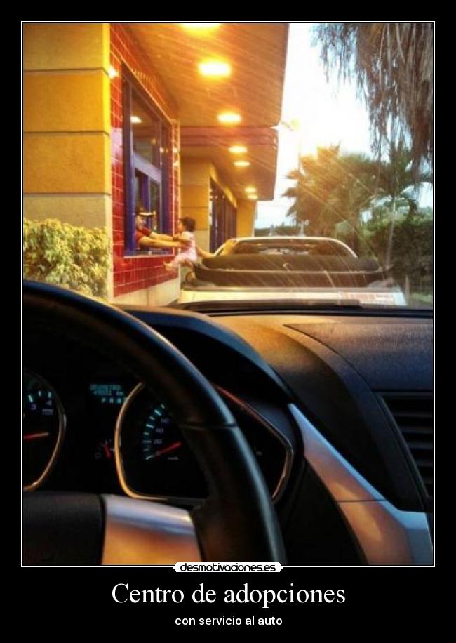 Centro de adopciones - con servicio al auto