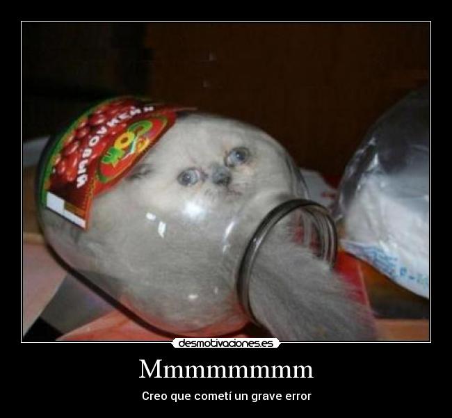 Mmmmmmmm - Creo que cometí un grave error