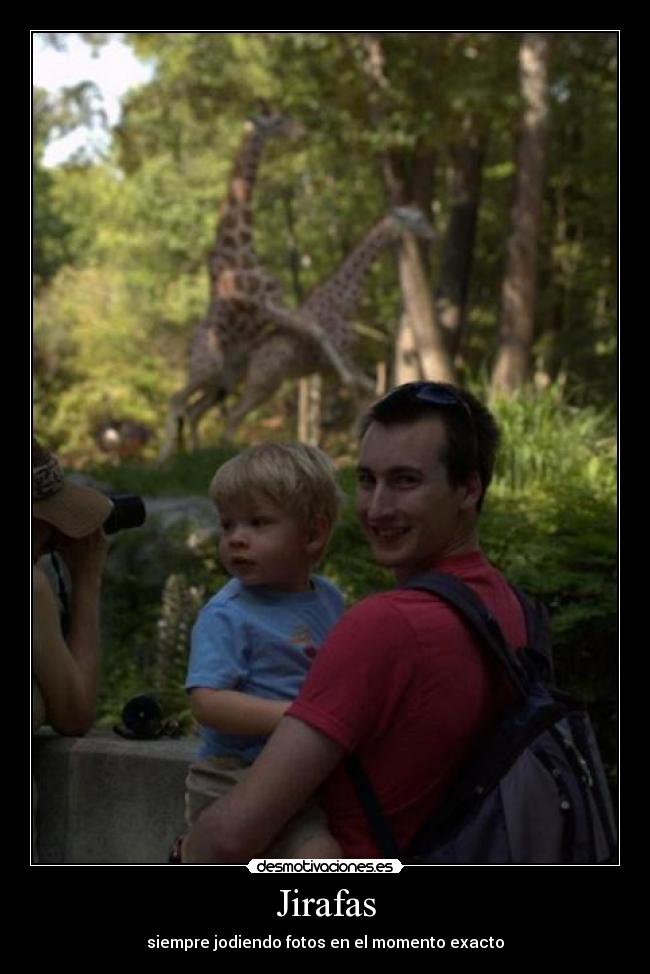 Jirafas -